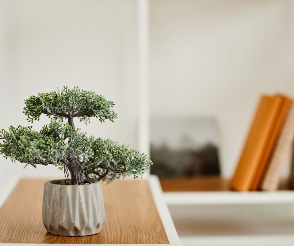Minimalist space with greenery, natural wood, and simple details.