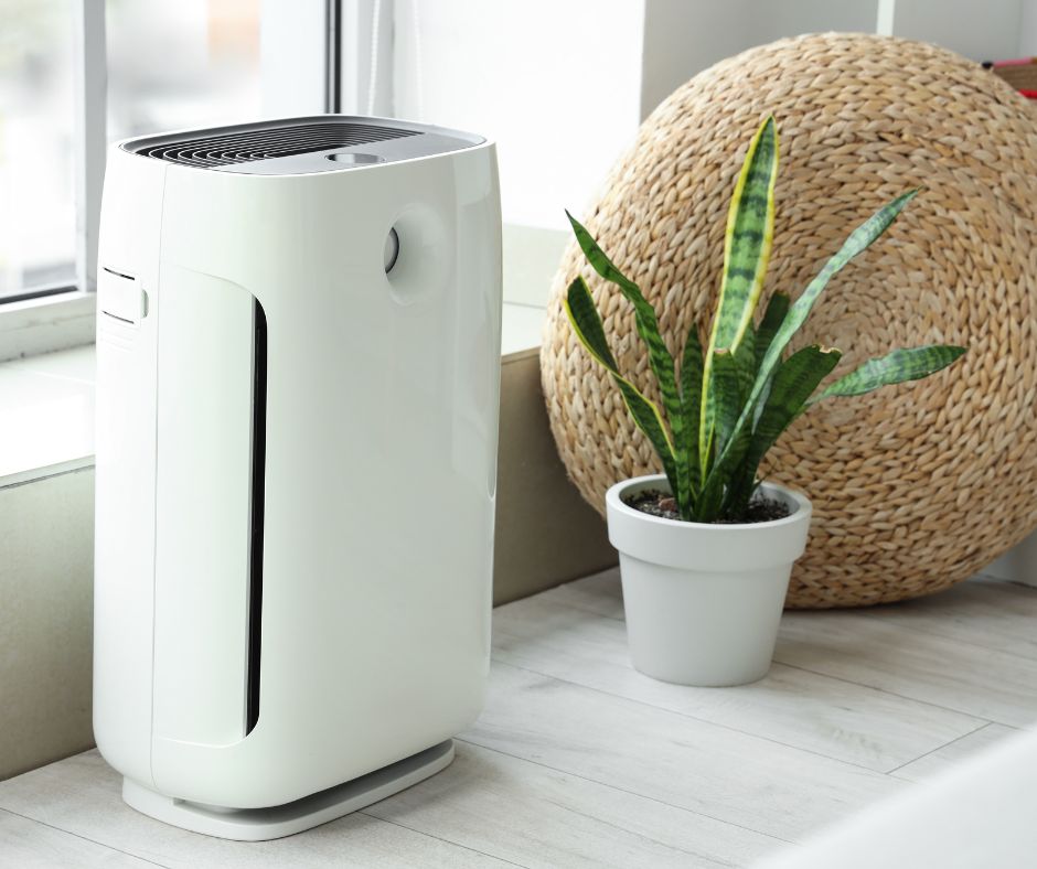 Healthy home design features air filters and plants to improve your well-being.